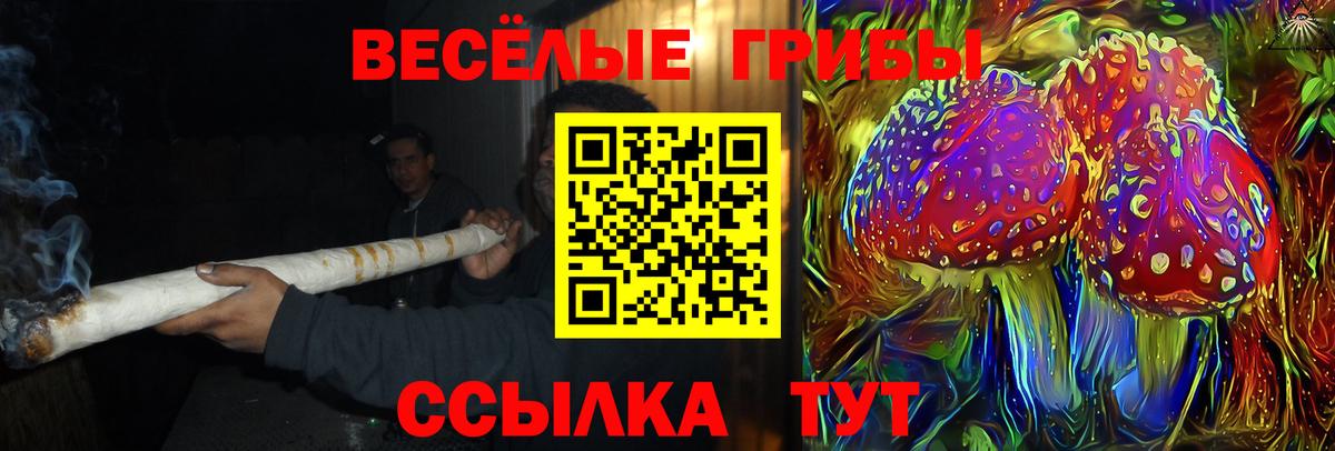 Междуреченск  Псилоцибиновые грибы Magic Shrooms  Вход с VPN 
