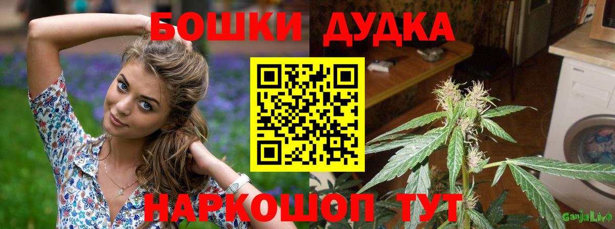 МАРИХУАНА ГИДРОПОН  Вход с VPN  Бошки марихуана планчик  Междуреченск 
